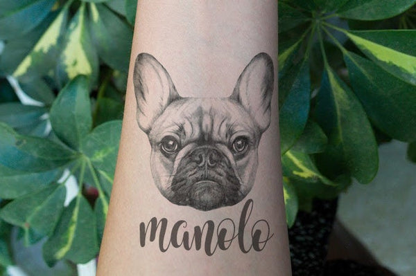 Custom French Bulldog Temporary Tattoo. Customize name. Custom Size