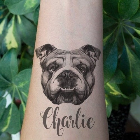 English Bulldog Temporary Tattoo. Custom Name. Dog Lover Gift